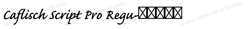 Caflisch Script Pro Regu字体转换